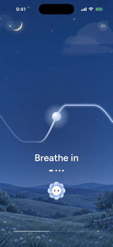 Breathing in Nola at night: the same wave under a night sky