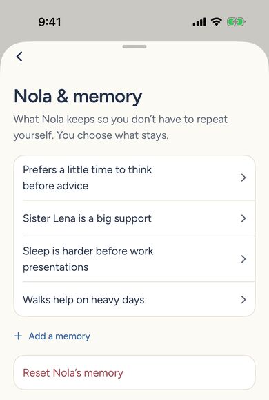 Nola and memory screen: a short list of notes Nola keeps, with Add a memory and Reset Nola's memory